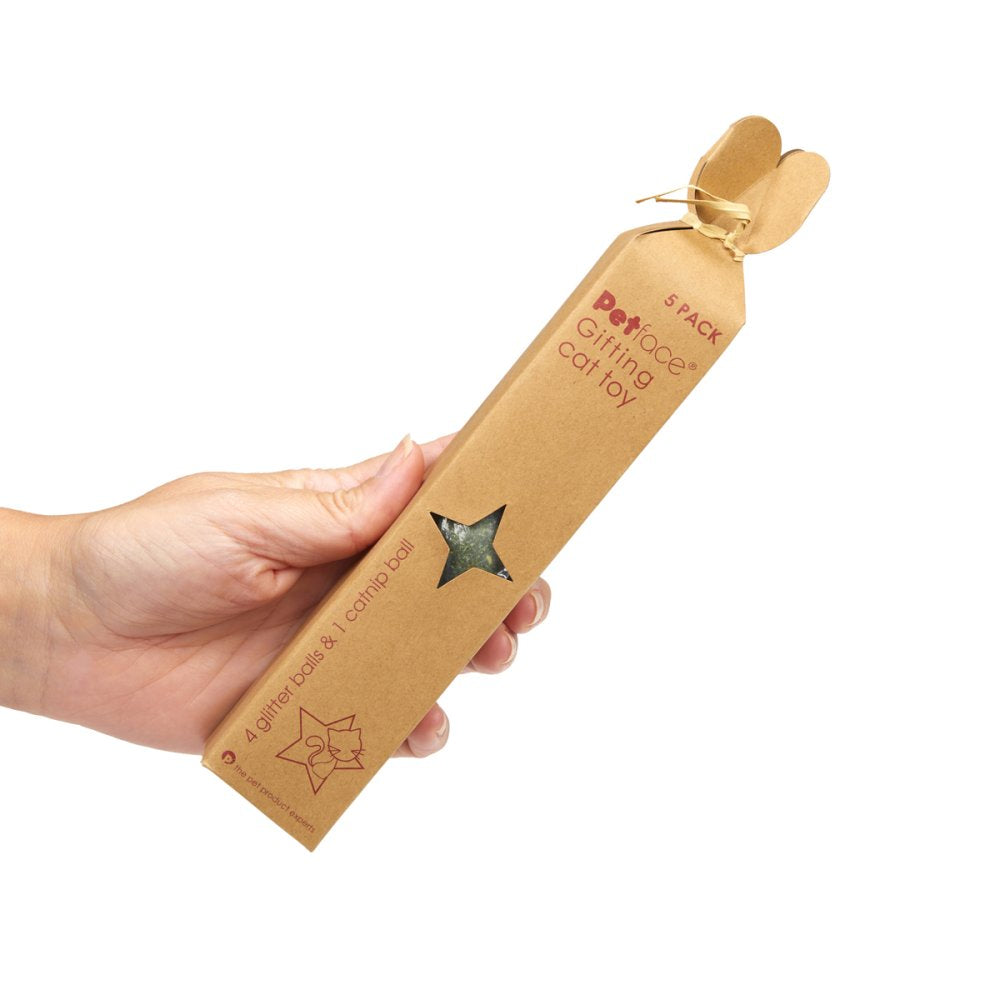 5 PACK CAT BALL TOYS GIFT BOX