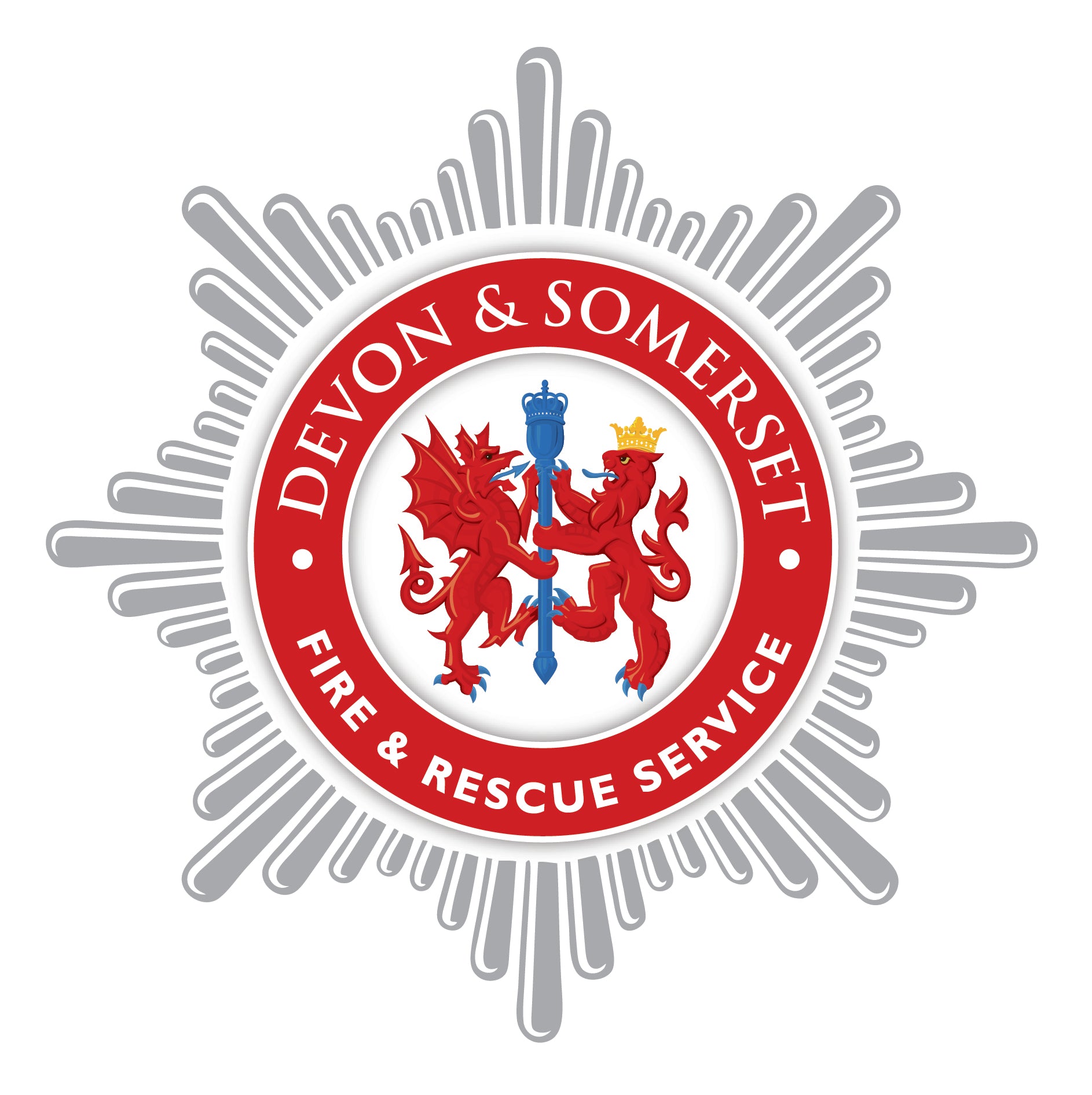 Devon & Somerset FRS Hoodie