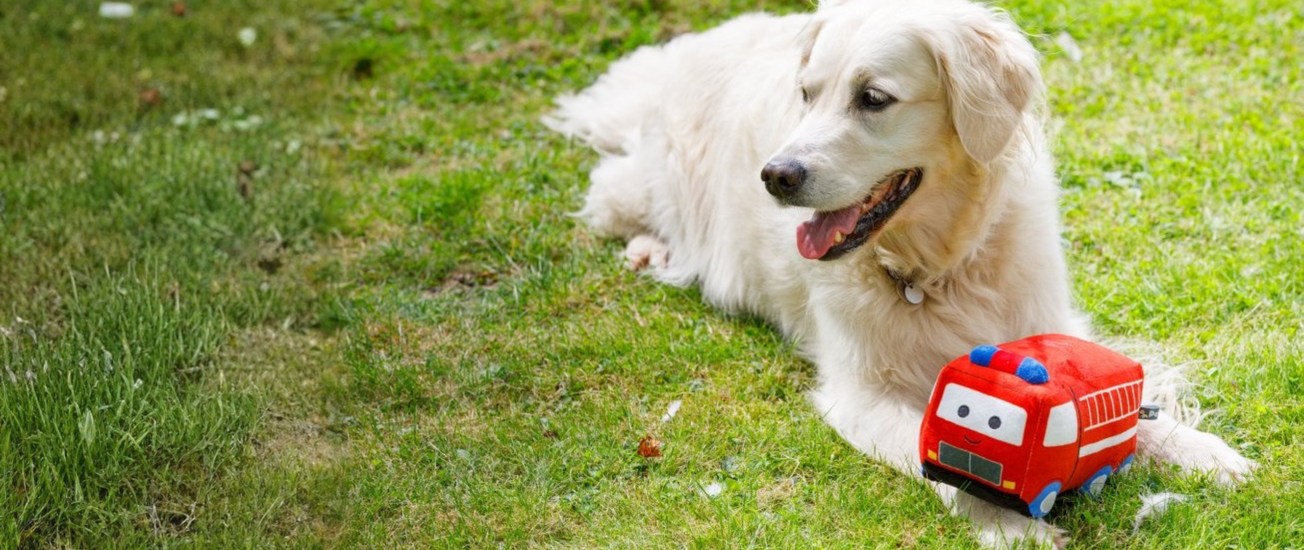Fire Fighters Charity Shop
