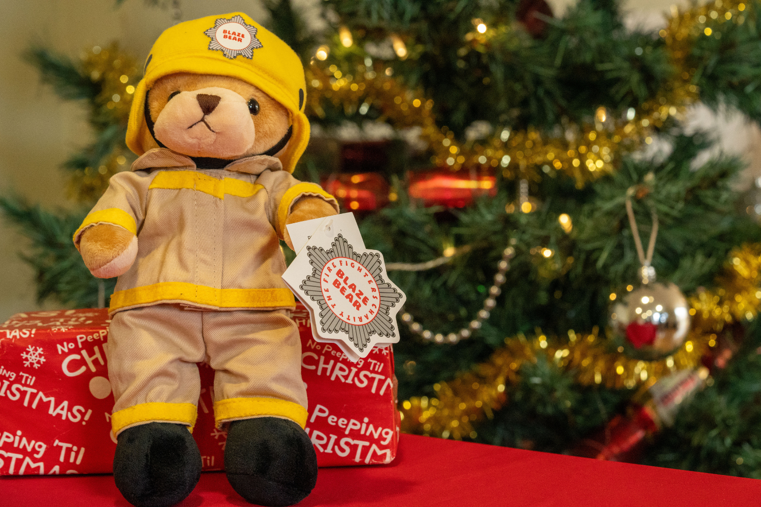 Fire Fighters Charity Shop