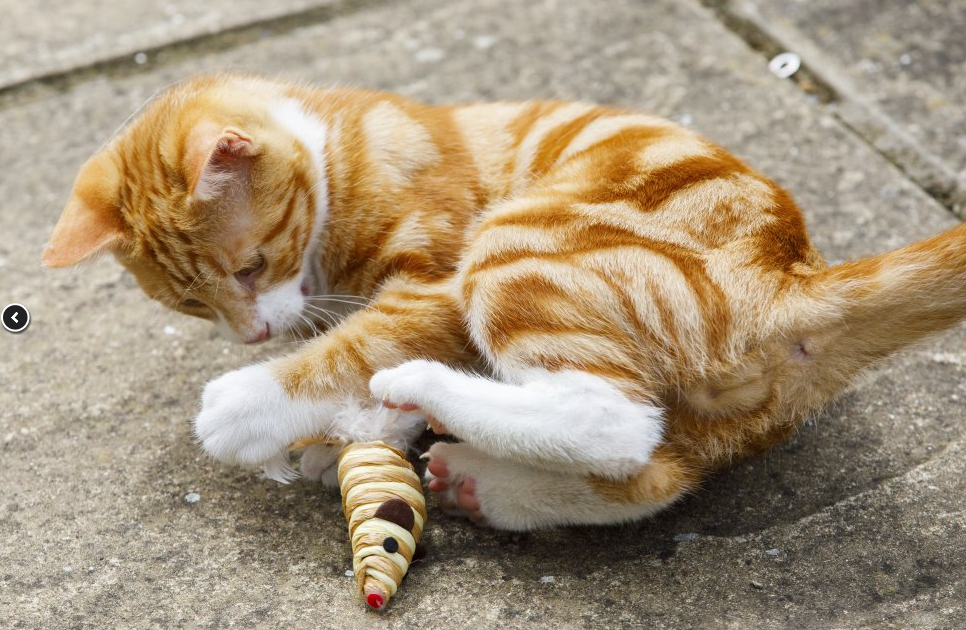 Catkins Sisal Mouse Cat Toy